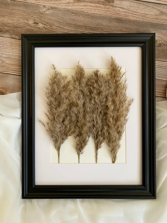 Luxury Collection- Wall Art Pampas
