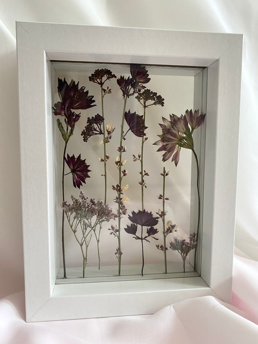 Double Glass Frame with Pressed Astrantias
