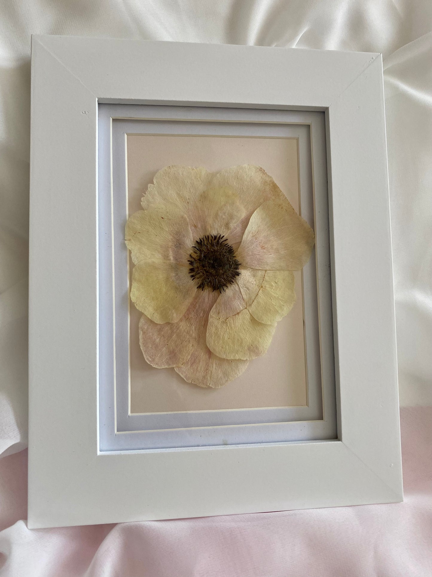 Beautiful Anemone. Handmade Pressed Flower Frame